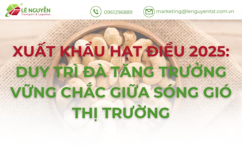 Xuất Khẩu Hạt Điều 2025: Duy Trì Đà Tăng Trưởng Vững Chắc Giữa Sóng Gió Thị Trường